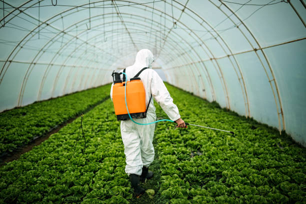 Best Affordable Pest Control Services  in Coaldale, PA