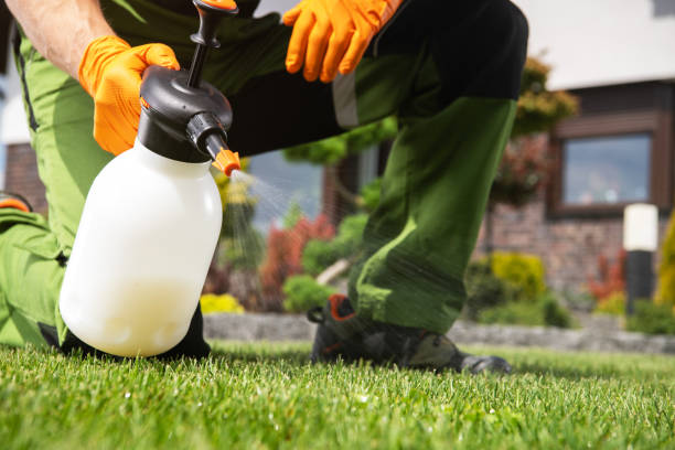 Best Termite Control Services  in Coaldale, PA