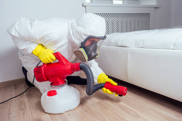 Wildlife Control Services in Coaldale, PA