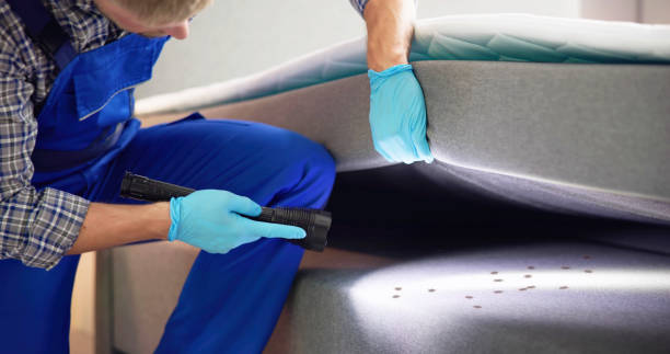 Best Pest Inspection Near Me  in Coaldale, PA