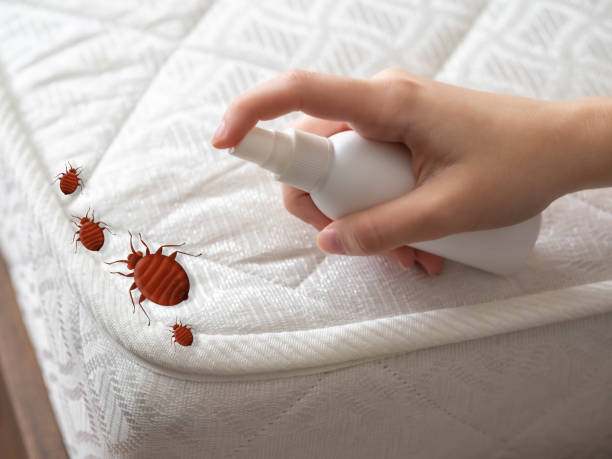 Best Pest Control for Homes  in Coaldale, PA