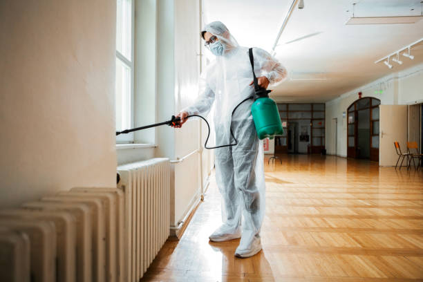 Best Pest Removal Services  in Coaldale, PA