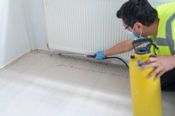 Best Ant Control Services  in Coaldale, PA