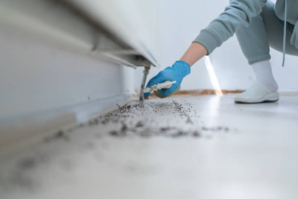 Best Residential Pest Control  in Coaldale, PA