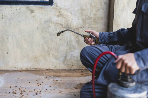 Best Best Pest Control Companies  in Coaldale, PA